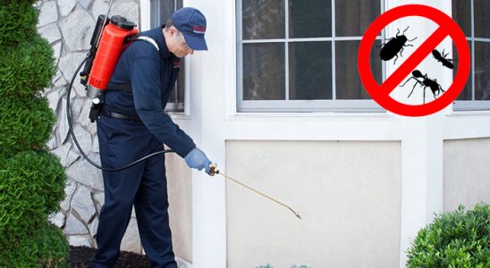 Solhan Gümüşkurt İlaçlama böcek ilaçlama ve haşere kontrolü — ilaclama-tr.com